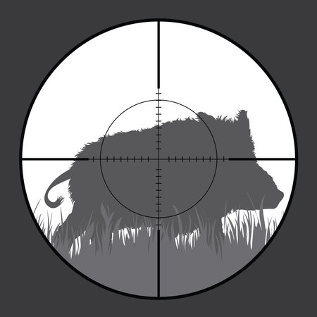 Vector silhouette of wild boar in rifle sight while hunting. The hunter watches his victim.のイラスト素材