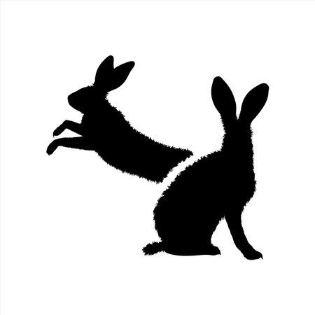 Vector silhouette of couple of rabbit on white background. Symbol of forest animal and hare.のイラスト素材