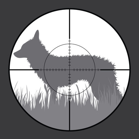 Vector silhouette of fox in rifle sight while hunting. The hunter watches his victim.のイラスト素材