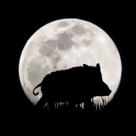 Vector silhouette of wild boar on moon background. Symbol of night and forest animals.のイラスト素材
