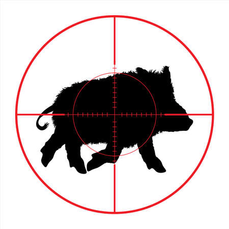 Vector silhouette of wild boar in rifle sight while hunting. The forest creatures in focus.のイラスト素材