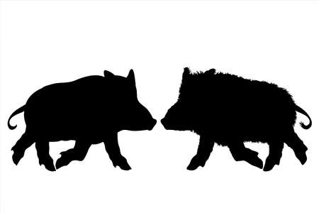 Vector silhouette of couple of wild boars on white background. Symbol of forest animals.のイラスト素材