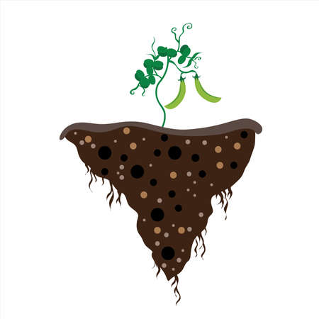 Vector silhouette of piece of land with plant on white background. Symbol of crisis and planet.のイラスト素材