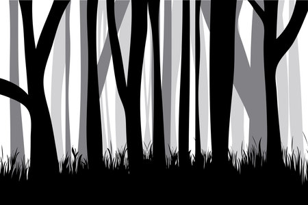 Vector silhouette of forest black and white. Symbol of trees and nature.のイラスト素材