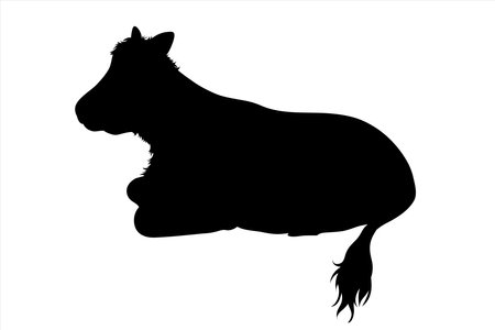 Vector silhouette of cow on white background. Symbol of farm animal.のイラスト素材
