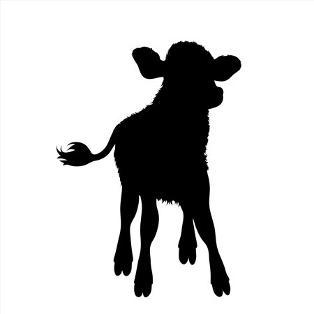 Vector silhouette of calf on white background. Symbol of farm animal.のイラスト素材