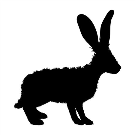 Vector silhouette of rabbit on white background. Symbol of forest animal and hare.のイラスト素材