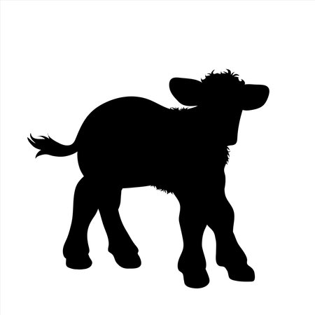 Vector silhouette of calf on white background. Symbol of farm animal.のイラスト素材