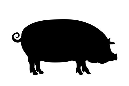 Vector silhouette of pig on white background. Symbol of farm animal.のイラスト素材