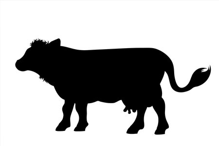 Vector silhouette of cow on white background. Symbol of farm animal.のイラスト素材