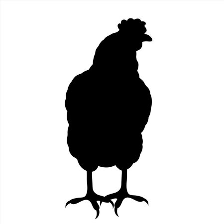Vector silhouette of hen on white background. Symbol of farm animal and poultry.のイラスト素材