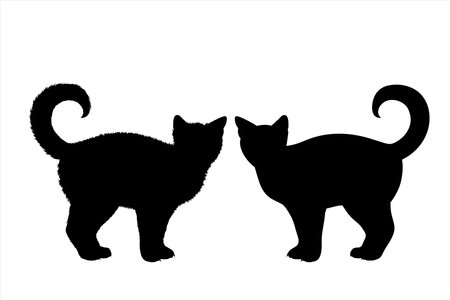 Vector silhouette of cat on white background. Symbol of home animal and pet.のイラスト素材