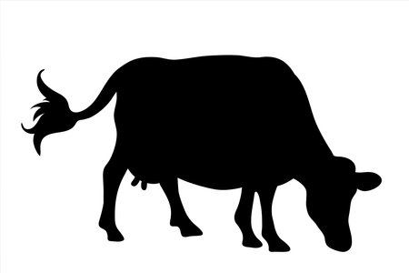 Vector silhouette of cow on white background. Symbol of farm animal.のイラスト素材