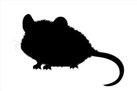 Vector silhouette of mouse on white background. Symbol of farm animal and rodent.のイラスト素材