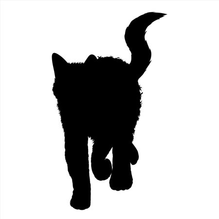Vector silhouette of cat on white background. Symbol of home animal and pet.のイラスト素材