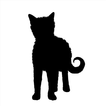 Vector silhouette of cat on white background. Symbol of home animal and pet.のイラスト素材