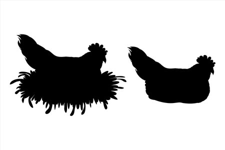 Vector silhouette of hen on white background. Symbol of farm animal and poultry.のイラスト素材