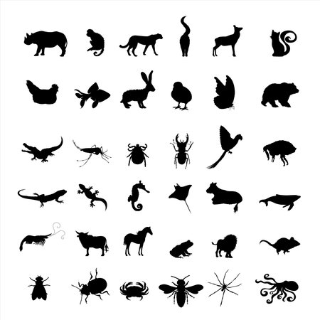 Collection of vector silhouette of farm and wild animal. Symbol of nature and creatures.のイラスト素材