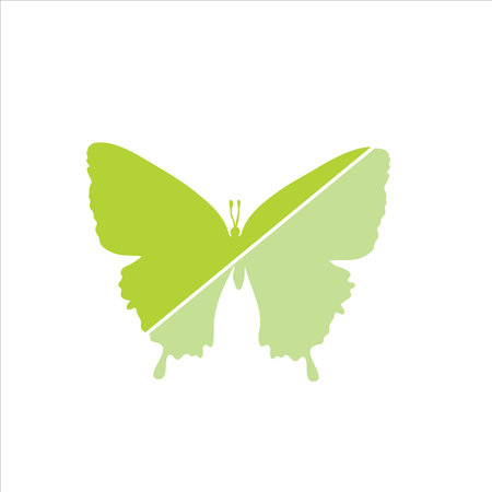 Vector illustration of butterfly. Symbol of insect.のイラスト素材