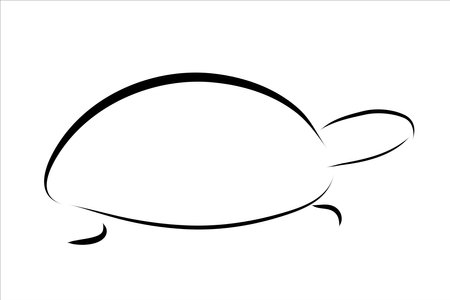 Vector illustration of turtle painted with simple lines. Symbol of reptile and wild animal.のイラスト素材