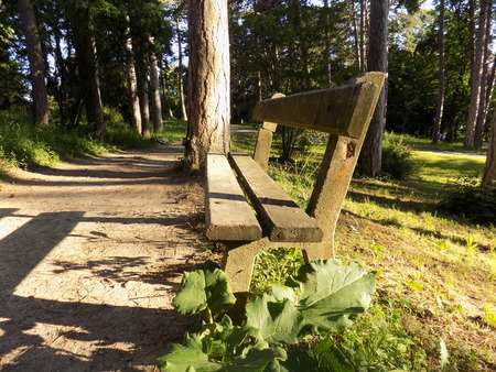 Bench