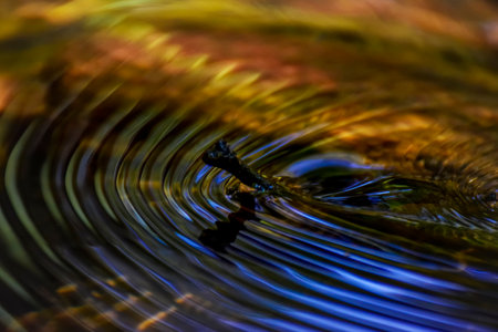 Dreams about water. Water flowing in the Ruecas River, with a branch making the movement of waves as it descends, with the reflection of the sky and the forest giving the color ofの写真素材