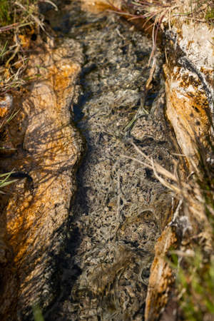 Mineralized water created a travertine stream with sedimentsの写真素材