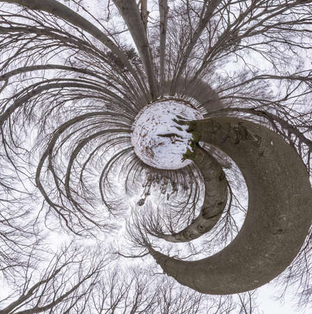 360 degrees panorama "little planet" in the winter beech and oak forestの写真素材