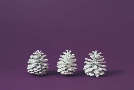Three white pine cones on the purple background. Minimal concept.の写真素材