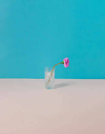 Cold drink in a vintage glass, with a gold straw and a pink flower on blue and pink background....