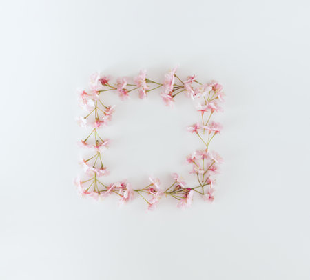 Fresh pink Japanese cherry blossoms arranged in a square shape with copy space on a white...