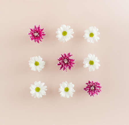Flowers of white marguerite daisies and purple dahlias arranged in three rows of three flowers each...