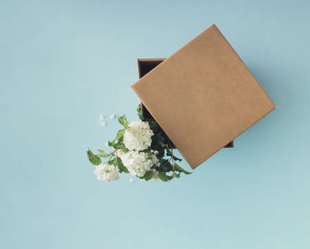 White flowers in brown gift cardboard box on blue background. Flower delivery. Minimal concept.の写真素材