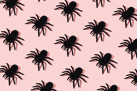 Black spider pattern on pink background. Minimal Halloween concept.の写真素材