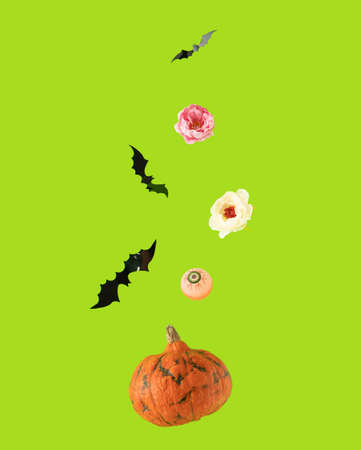 Halloween background with orange pumpkin, black bats, eyeball and pink and white flowers falling...
