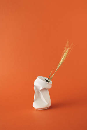 Ear of dried golden wheat in white crumpled beverage can on orange background.