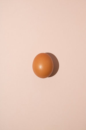 One fresh brown chicken egg isolated on pastel background. Minimal food concept.の写真素材