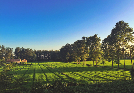 Morning in the villageのeditorial素材