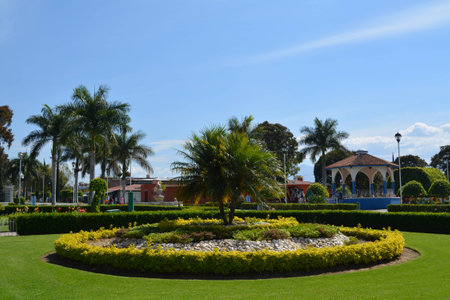 Piece of peace in Tule, Mexico.の写真素材
