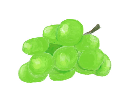 A Green Grape Painting. The green grape is a sweet fruit that grows in bunches.の写真素材