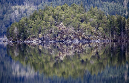 nature