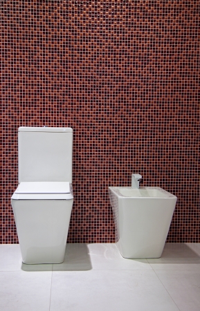  toilet and bidet in the bathroomの写真素材