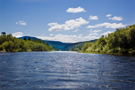 landscape with mountains trees and a river in frontの写真素材