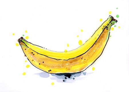 Marker sketch of bananaの写真素材