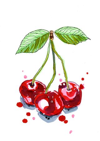 Marker sketch of cherriesの写真素材