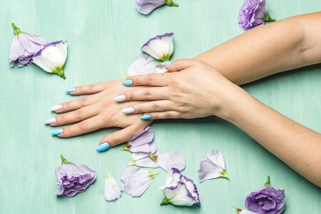 female hands lie on a green background next to flower petals and flowersの写真素材