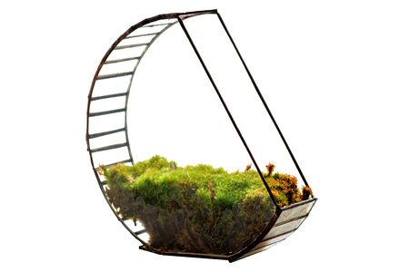 The glass florarium with green moss inside  (isolated on white background )の写真素材