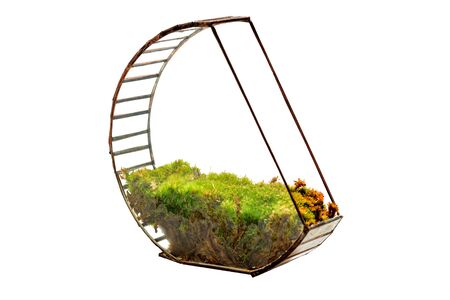 The glass florarium with green moss inside  (isolated on white background )の写真素材