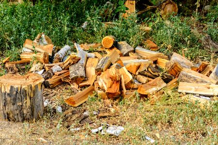 A small pile of chopped logs lie on the ground. Concept illustration of wood harvesting for home...