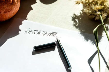 Chinese characters written with a fountain pen on paper under bright lighting.の写真素材